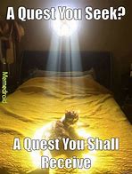 Image result for Cat Quest Meme