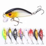 Image result for Minnow Bait Lure