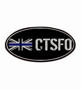 Image result for Ctsfo Badge