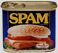 Image result for Spam Food