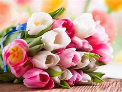 Image result for Bouquet 4K