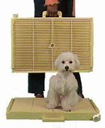 Image result for Indoor Dog Toilet