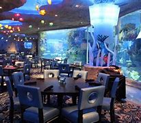 Image result for Cafe Ohio Aquarium Event