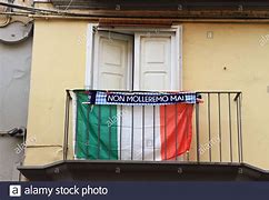 Image result for Italian Flag Ivy Cap