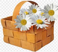 Image result for Hanging Flower Basket Clip Art