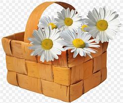 Image result for Flower Basket Clip Art