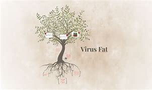 Image result for Contoh Virus Fat