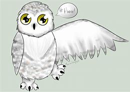 Image result for Snow Owl Cute