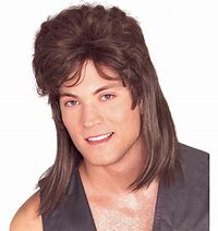 Image result for Mullet Wig