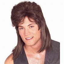 Image result for Mullet Wig