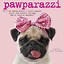 Image result for Cute Dog Calendars