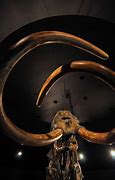 Image result for La Brea Tar Pits Woolly Mammoth