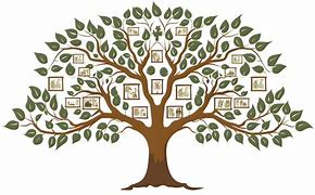 Image result for Family Tree Pretty