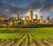 Image result for Tuscany Italy Wine