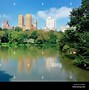 Image result for Central Park New York Summer Heat