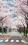 Image result for Places in South Korea