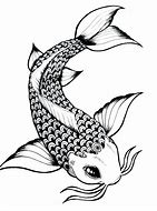 Image result for Fish Face Drawing