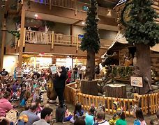 Image result for Great Wolf Lodge Cincinnati