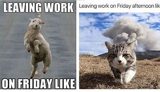 Image result for Friday Work Memes Clean