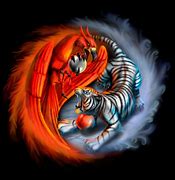 Image result for Fire and Ice Tiger