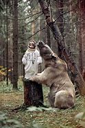 Image result for Bear 5