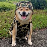 Image result for Captain Doge