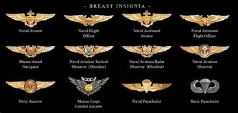 Image result for Pilot Aircrew Wings