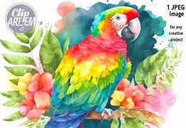 Image result for Tropical Parrot Painting