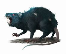 Image result for Rat 5E