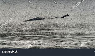 Image result for Loch Ness Monster Body