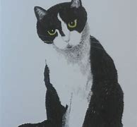 Image result for Cat and Butterfly Painting