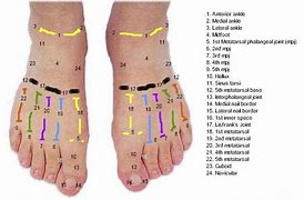 Image result for Dorsal Foot Nerve Pain