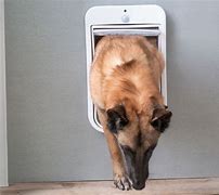 Image result for Smart Dog Door