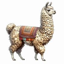 Image result for Llama Jaw