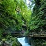 Image result for Vintgar Gorge