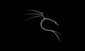 Image result for Kali Linux Logo Black Horror