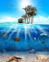 Image result for Underwater Scene Wall Murals