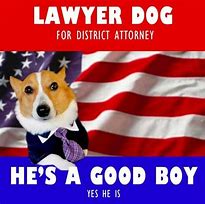 Image result for Dog Attorney Meme