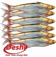 Image result for Wachoma Fish