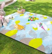 Image result for Camping Tent Mat