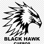 Image result for Black Hawk Bird