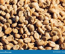 Image result for Sun-Dried Coffee Beans