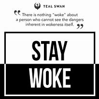 Image result for Stay Woke Quotes