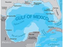 Image result for Gulf Coastal Plain Map Mexico