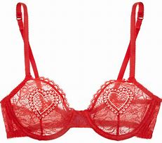 Image result for Lacy Bras Underwire