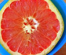 Image result for Different Kinds of Grapefruit