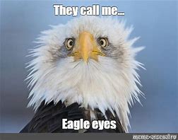 Image result for I'm an Eagle Meme