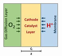 Image result for Catalyst Layer