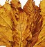 Image result for Real Leaf Tobacco