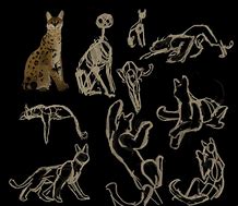 Image result for Serval Cat Wire Art